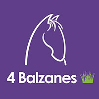 4 Balzanes ASBL